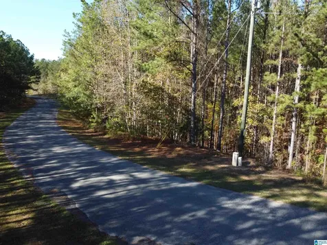 Lot 221 Shore Side Lane Sylacauga AL 35151