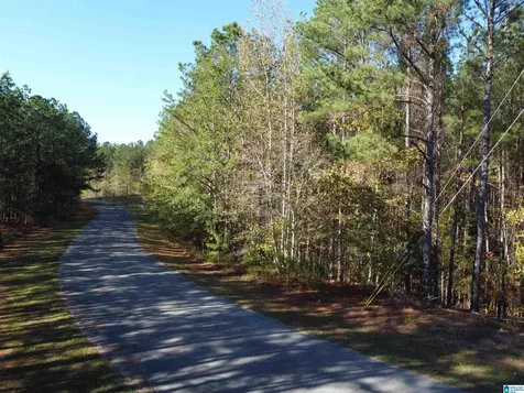 Lot 221 Shore Side Lane Sylacauga AL 35151