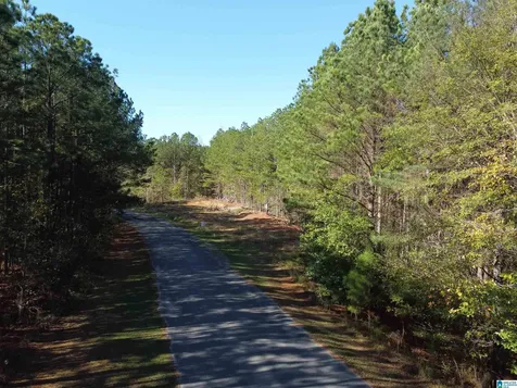 Lot 221 Shore Side Lane Sylacauga AL 35151