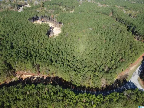 Lot 221 Shore Side Lane Sylacauga AL 35151