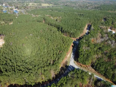 Lot 221 Shore Side Lane Sylacauga AL 35151