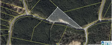 Lot 221 Shore Side Lane Sylacauga AL 35151