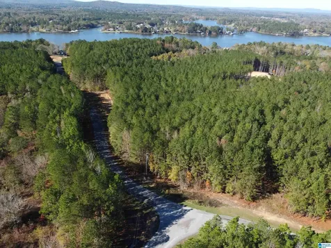 Lot 221 Shore Side Lane Sylacauga AL 35151