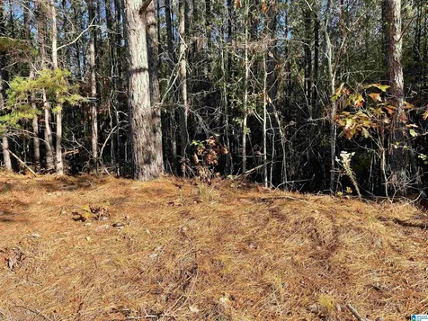 Lot 221 Shore Side Lane Sylacauga AL 35151