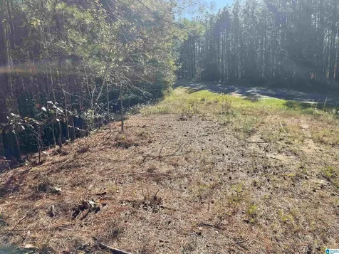 Lot 221 Shore Side Lane Sylacauga AL 35151