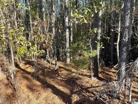 Lot 221 Shore Side Lane Sylacauga AL 35151