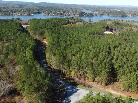 Lot 221 Shore Side Lane Sylacauga AL 35151