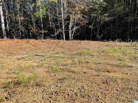 Lot 221 Shore Side Lane Sylacauga AL 35151