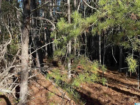 Lot 221 Shore Side Lane Sylacauga AL 35151
