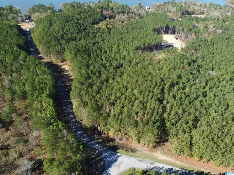 Lot 221 Shore Side Lane Sylacauga AL 35151