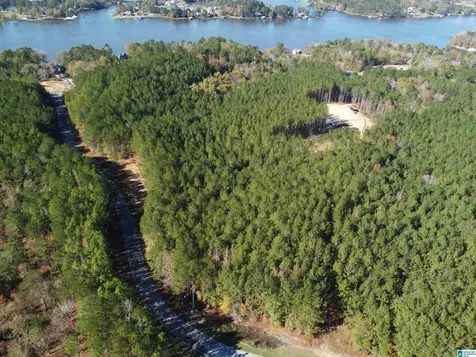 Lot 221 Shore Side Lane Sylacauga AL 35151