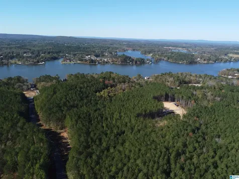 Lot 221 Shore Side Lane Sylacauga AL 35151