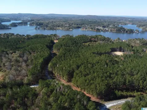 Lot 221 Shore Side Lane Sylacauga AL 35151