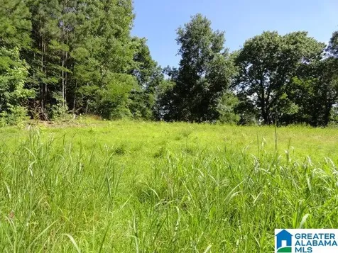 3286 Hillcrest Place Adamsville AL 35005