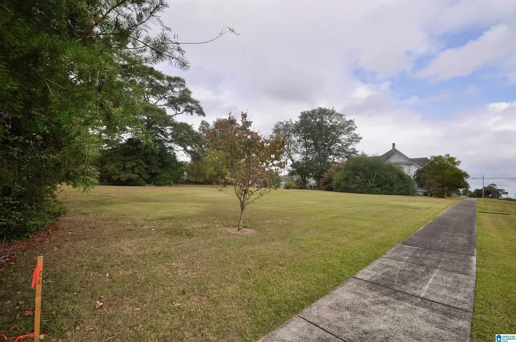 Lot 1 SE 5th Avenue Cullman AL 35055
