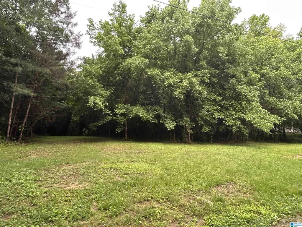 525 Poplar Lane Helena AL 35244