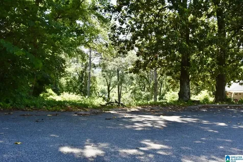 1509 Beckham Drive Homewood AL 35209