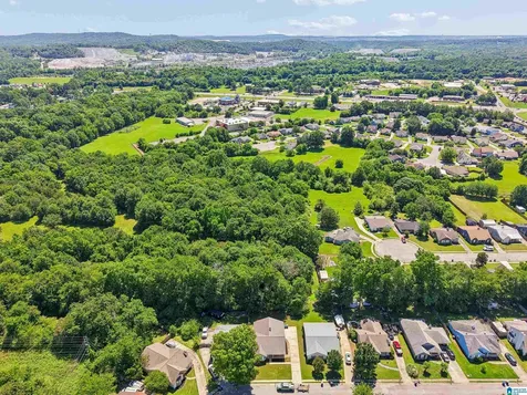 134 Park Place Lane Alabaster AL 35007