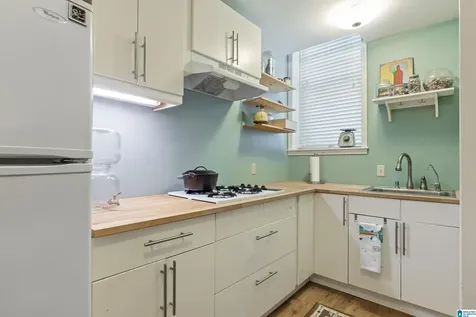1419 Clermont Drive Homewood AL 35209