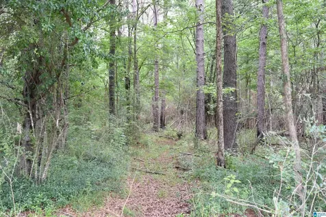 0 Marble City Heights Circle Sylacauga AL 35150