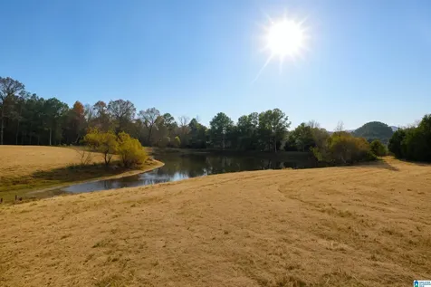 13100 Alabama Highway 174 Odenville AL 35120