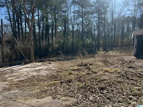 2101 Sadlertown Road Bessemer AL 35022