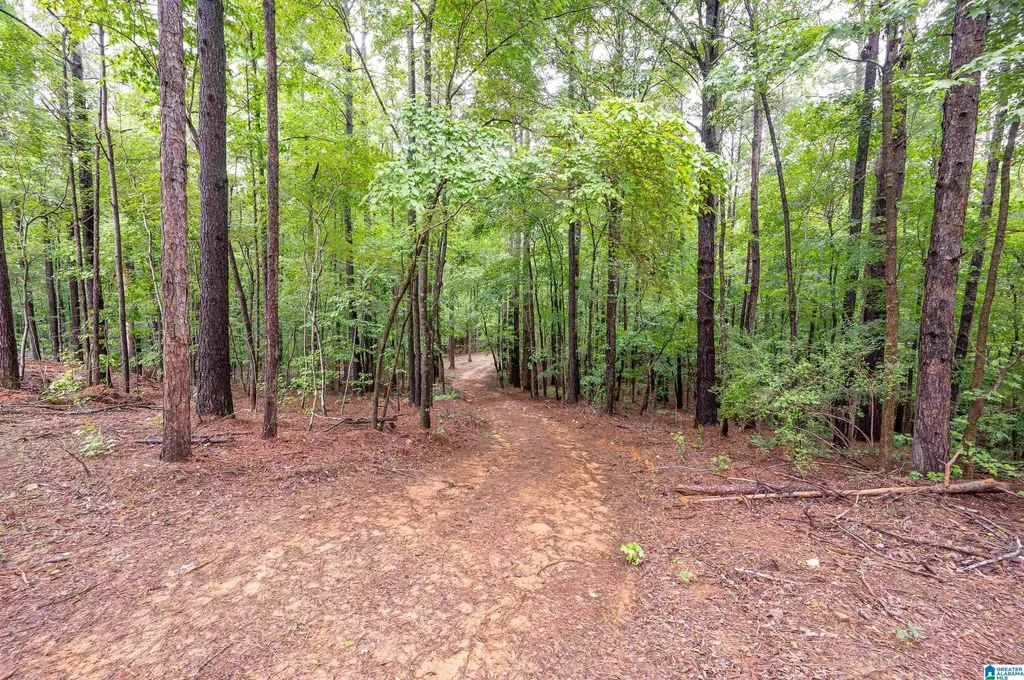 284 Nichols Road Chelsea AL 35043