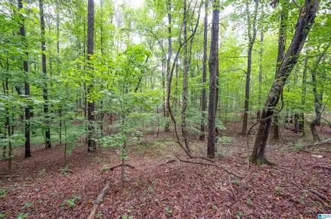 284 Nichols Road Chelsea AL 35043