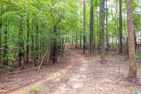 284 Nichols Road Chelsea AL 35043