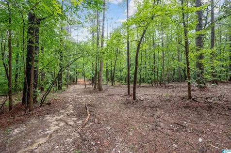 284 Nichols Road Chelsea AL 35043