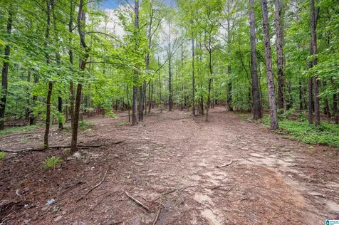 284 Nichols Road Chelsea AL 35043