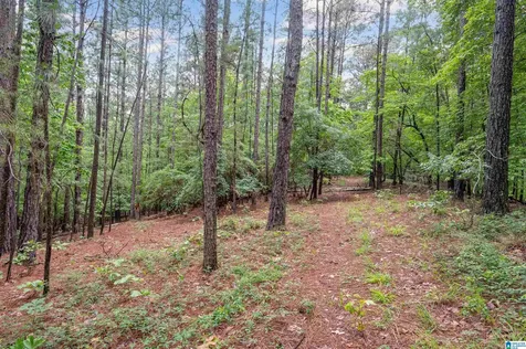 284 Nichols Road Chelsea AL 35043