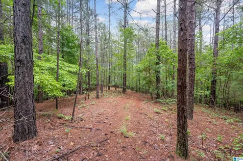 284 Nichols Road Chelsea AL 35043