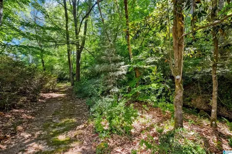 1966 Lakemont Drive Hoover AL 35244
