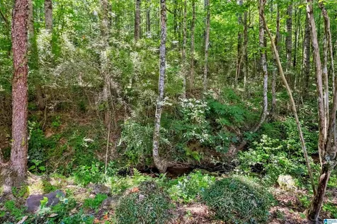 1966 Lakemont Drive Hoover AL 35244