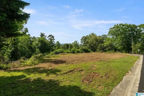369 Vesclub Drive Vestavia Hills AL 35216