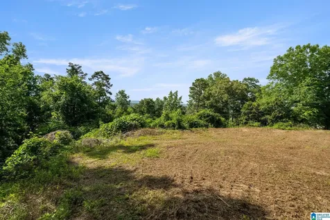 369 Vesclub Drive Vestavia Hills AL 35216