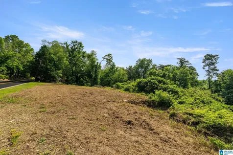 369 Vesclub Drive Vestavia Hills AL 35216