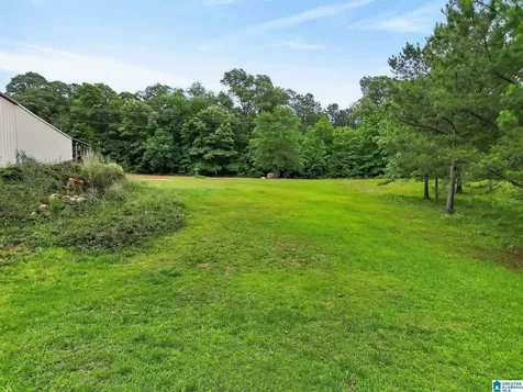 96 Rolling Mountain Road Rockford AL 35136