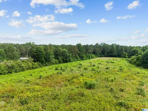 420 Reid Road Cullman AL 35057