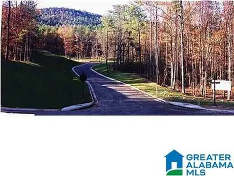 Autumn View Drive Chelsea AL 35147