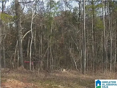 Autumn View Drive Chelsea AL 35147