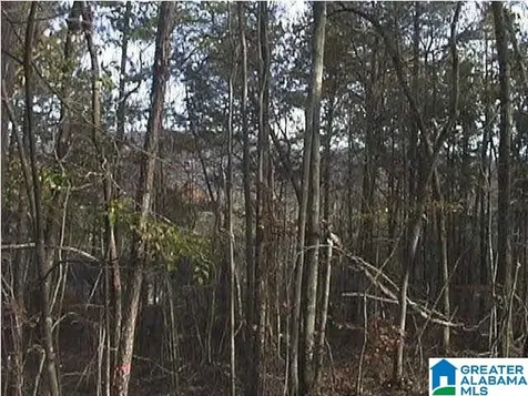 Autumn View Drive Chelsea AL 35147