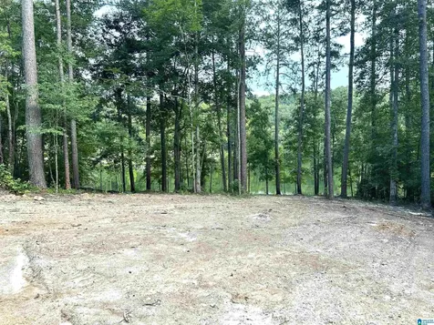 526 Cahaba Springs Drive Trussville AL 35173