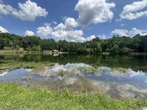 526 Cahaba Springs Drive Trussville AL 35173