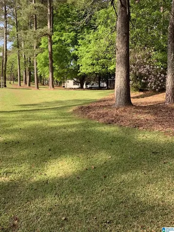520 Julianne Drive Leeds AL 35094