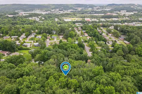945 Delcris Drive Homewood AL 35226