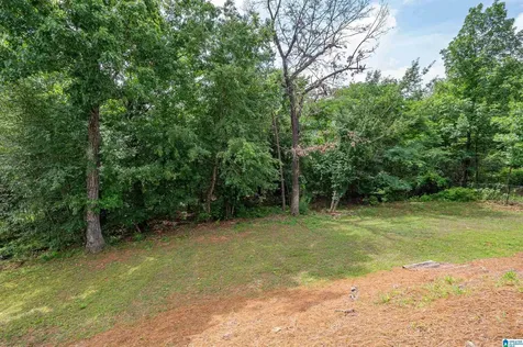 1422 Scout Trace Hoover AL 35244