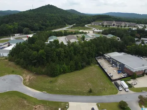 258 Applegate Trace Pelham AL 35124