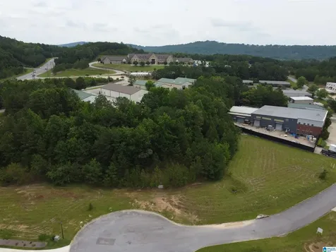 250 Applegate Trace Pelham AL 35124